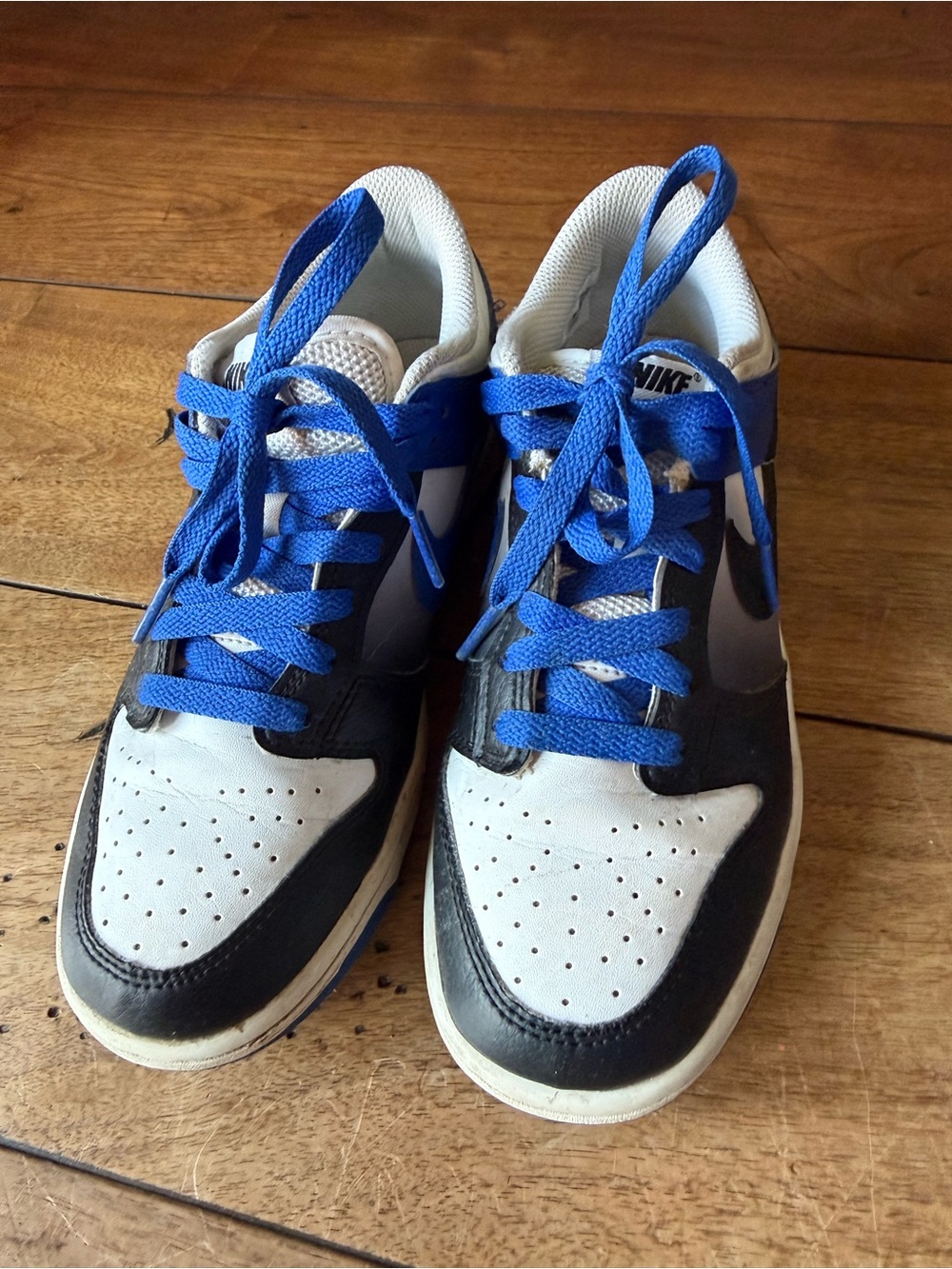 Nike Low-Top Sneakers in White, Black & Blue